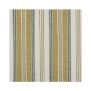 Mitra Citrus by Clarke And Clarke Fabric
