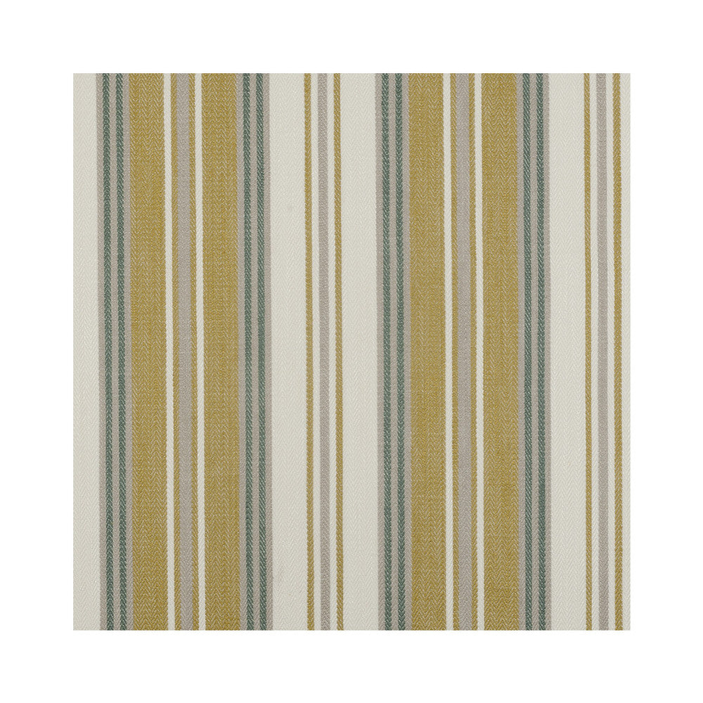 Mitra Citrus by Clarke And Clarke Fabric CLARKE & CLARKE BUKHARA COTTON - 52%;VISCOSE - 35%;LINEN - 13% India HEAVY Horizontal: 9.06 and Vertical: 0 54 - Fabric Carolina -