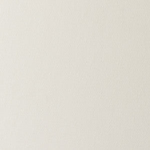 Gino Ivory by Clarke And Clarke Fabric