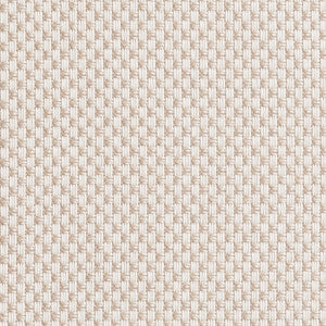 Maximus Cream by Clarke And Clarke Fabric