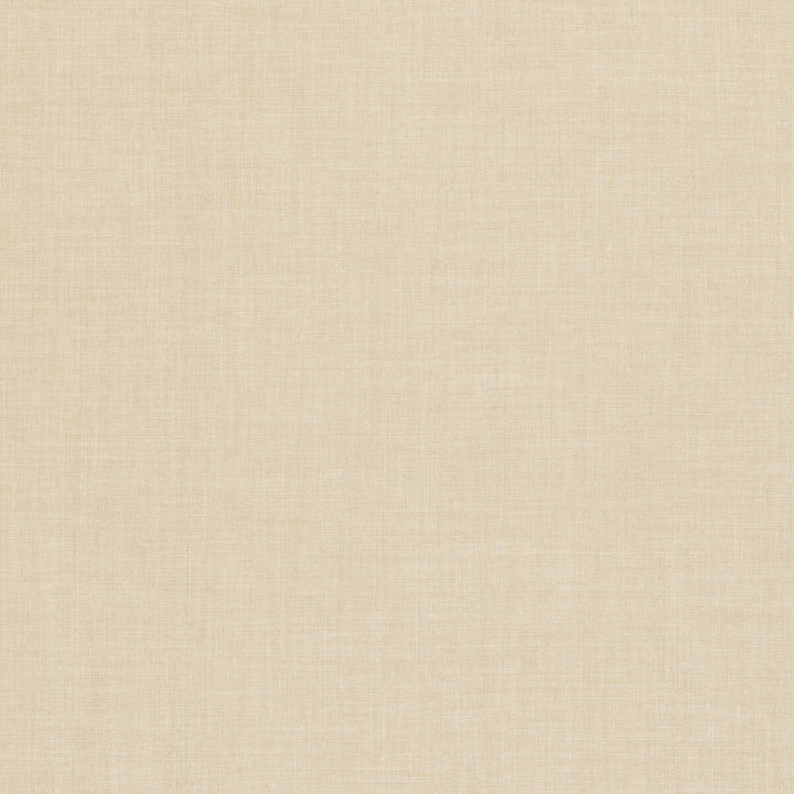 Linoso Buff by Clarke And Clarke Fabric CLARKE & CLARKE LINOSO II POLYESTER - 100% China HEAVY Horizontal: 0 and Vertical: 0 58 - Fabric Carolina -