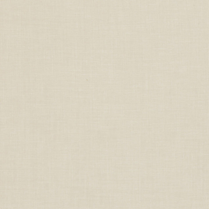 Linoso Cream by Clarke And Clarke Fabric CLARKE & CLARKE LINOSO II POLYESTER - 100% China HEAVY Horizontal: 0 and Vertical: 0 58 - Fabric Carolina -