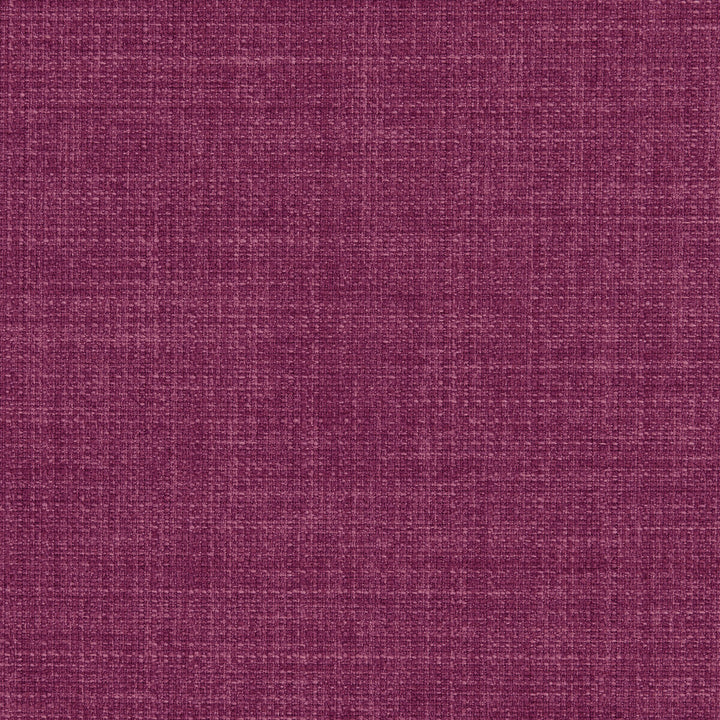 Linoso Fuchsia by Clarke And Clarke Fabric CLARKE & CLARKE LINOSO II POLYESTER - 100% China HEAVY Horizontal: 0 and Vertical: 0 58 - Fabric Carolina -