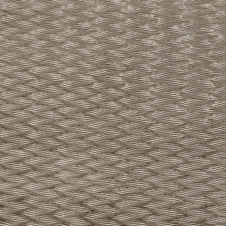Tempo Ash by Clarke And Clarke Fabric CLARKE & CLARKE TEMPO VELVETS POLYESTER - 100% China HEAVY Horizontal: 3.15 and Vertical: 1.42 56 - Fabric Carolina -