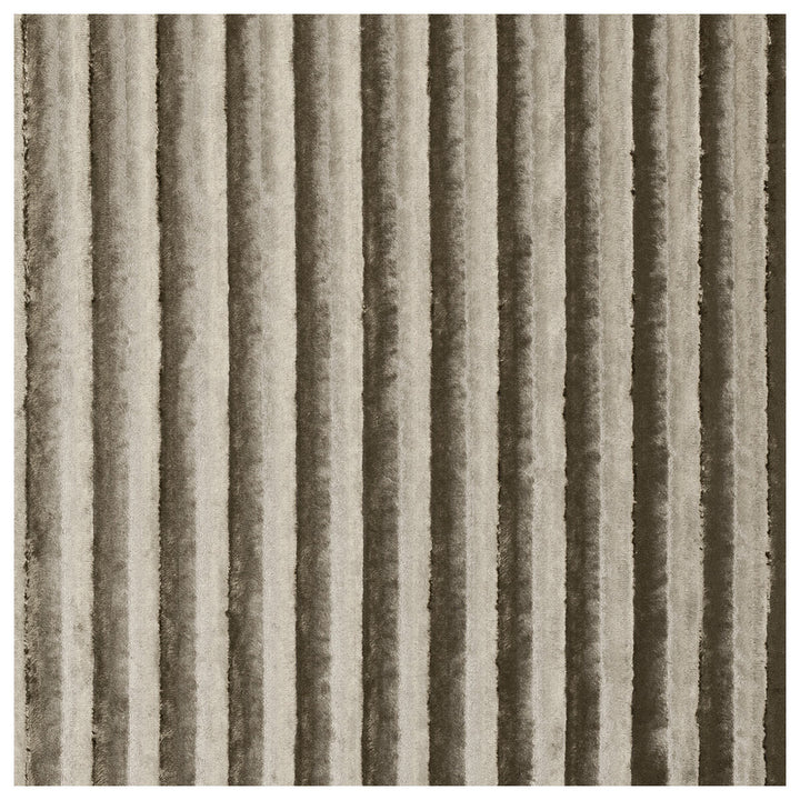 Rhythm Ash by Clarke And Clarke Fabric CLARKE & CLARKE TEMPO VELVETS POLYESTER - 100% China HEAVY Horizontal: 0 and Vertical: 0 56 - Fabric Carolina -