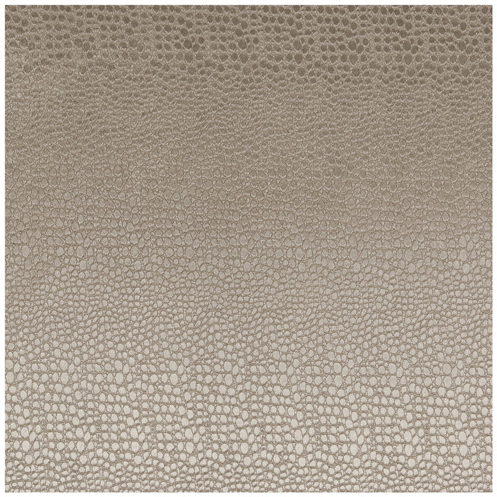 Pulse Ash by Clarke And Clarke Designer Fabric CLARKE & CLARKE TEMPO VELVETS POLYESTER - 100% China HEAVY Horizontal: 2.56 and Vertical: 8.66 56 - Swanky Fabrics -
