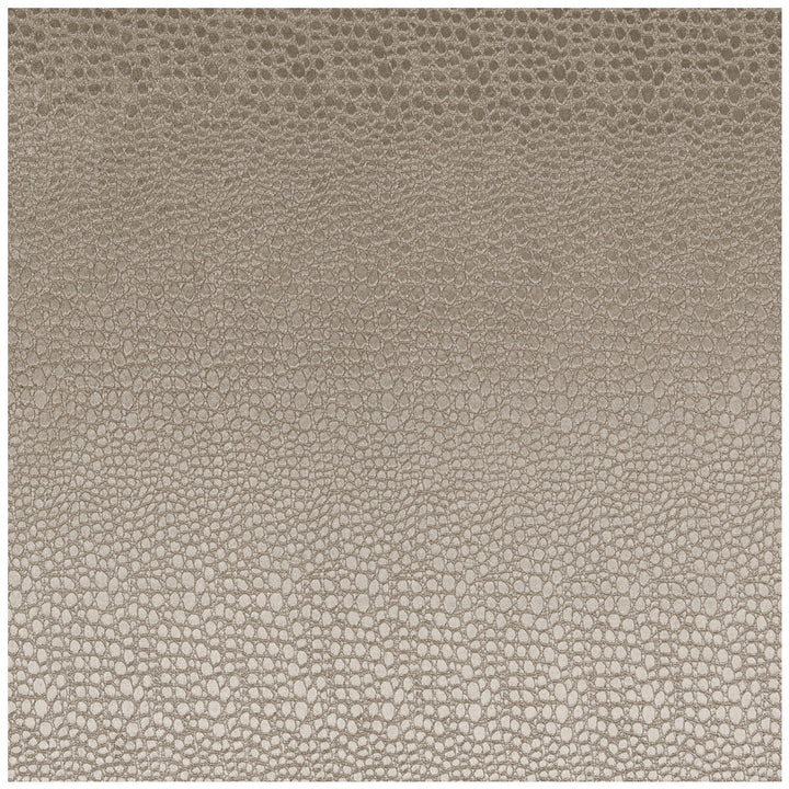 Pulse Ash by Clarke And Clarke Fabric CLARKE & CLARKE TEMPO VELVETS POLYESTER - 100% China HEAVY Horizontal: 2.56 and Vertical: 8.66 56 - Fabric Carolina -