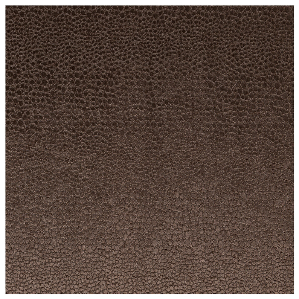 Pulse Espresso by Clarke And Clarke Fabric CLARKE & CLARKE TEMPO VELVETS POLYESTER - 100% China HEAVY Horizontal: 2.56 and Vertical: 8.66 56 - Fabric Carolina -