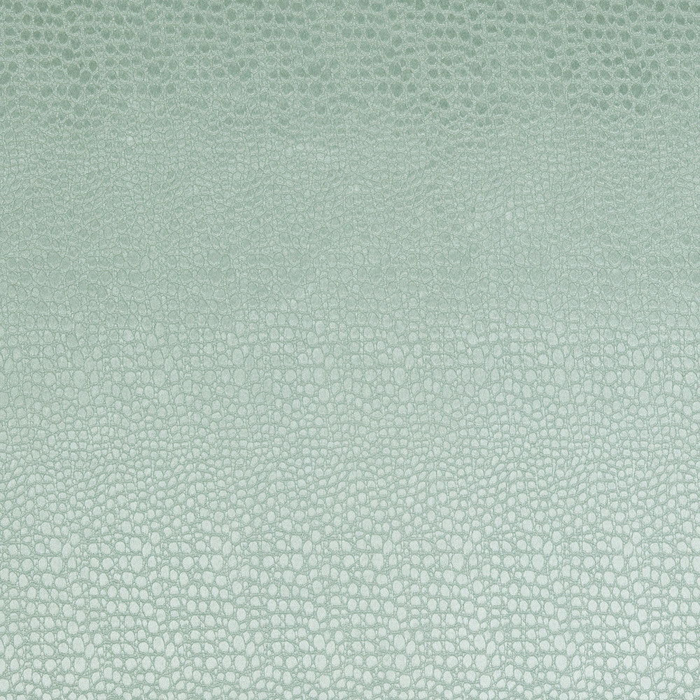 F0469 10 Pulse Mineral by Clarke and Clarke Fabric CLARKE & CLARKE POLYESTER - 100% China HEAVY Horizontal: 2.56 and Vertical: 8.66 56  - Fabric Carolina -