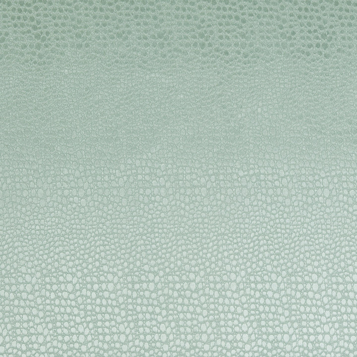 F0469 10 Pulse Mineral by Clarke and Clarke Fabric CLARKE & CLARKE POLYESTER - 100% China HEAVY Horizontal: 2.56 and Vertical: 8.66 56  - Fabric Carolina -