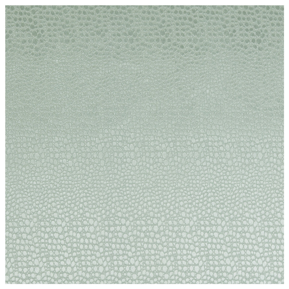 Pulse Mineral by Clarke And Clarke Fabric CLARKE & CLARKE TEMPO VELVETS POLYESTER - 100% China HEAVY Horizontal: 2.56 and Vertical: 8.66 56 - Fabric Carolina -