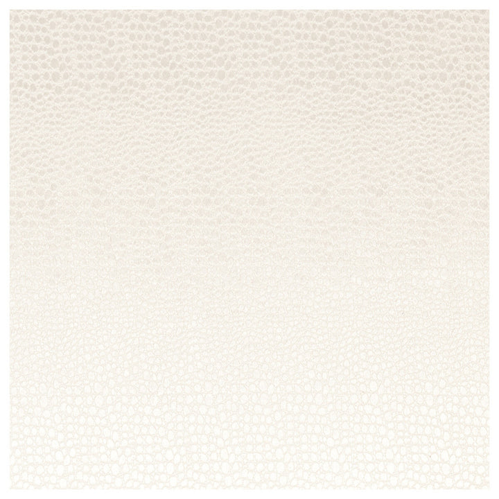 Pulse Pearl by Clarke And Clarke Fabric CLARKE & CLARKE TEMPO VELVETS POLYESTER - 100% China HEAVY Horizontal: 2.56 and Vertical: 8.66 56 - Fabric Carolina -