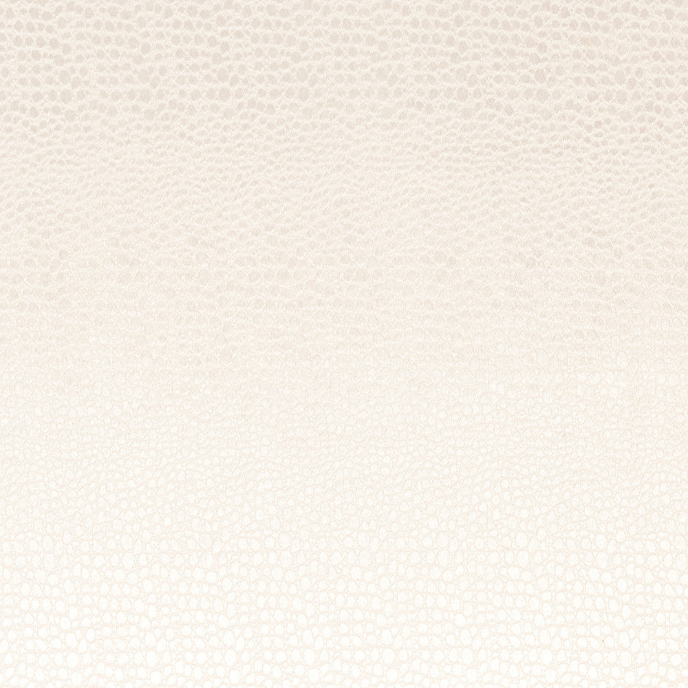 F0469 11 Pulse Pearl by Clarke and Clarke Fabric CLARKE & CLARKE POLYESTER - 100% China HEAVY Horizontal: 2.56 and Vertical: 8.66 56  - Fabric Carolina -