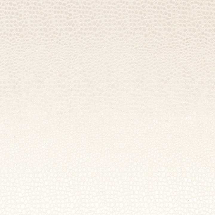F0469 11 Pulse Pearl by Clarke and Clarke Fabric CLARKE & CLARKE POLYESTER - 100% China HEAVY Horizontal: 2.56 and Vertical: 8.66 56  - Fabric Carolina -