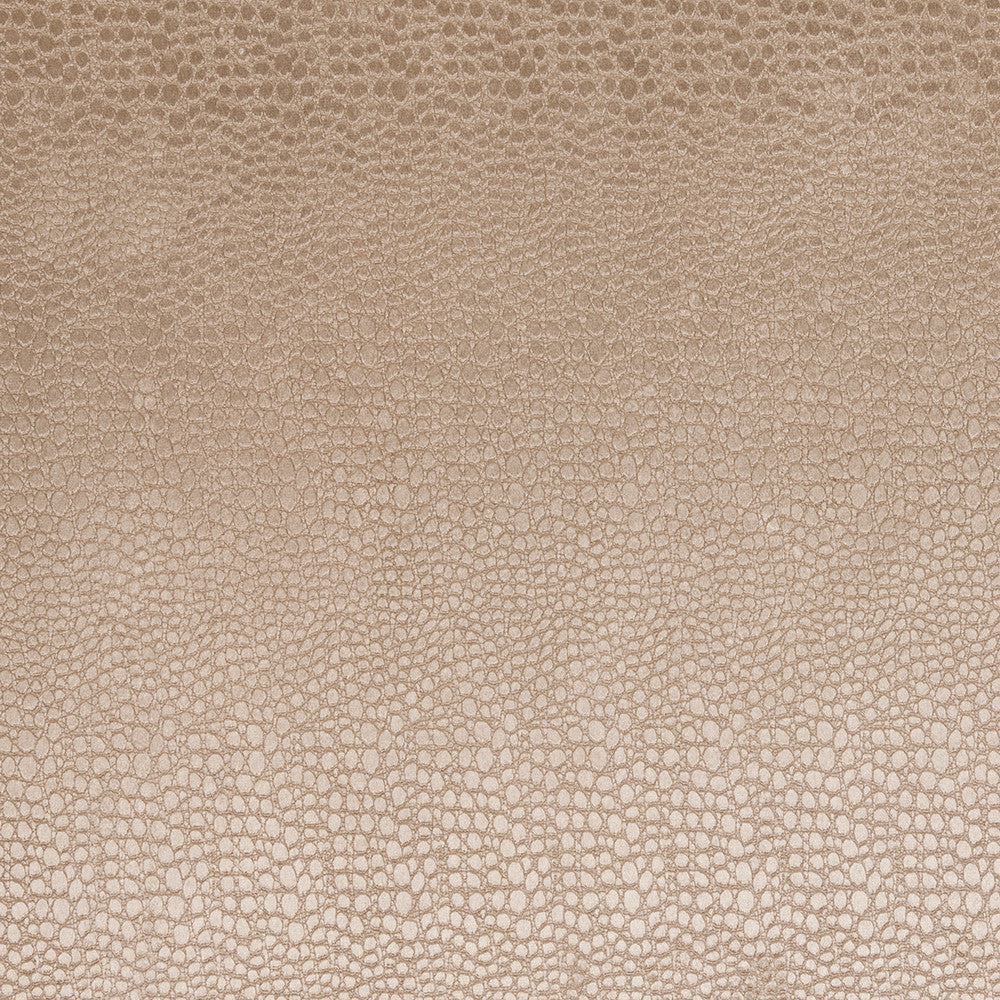 F0469 13 Pulse Sand by Clarke and Clarke Fabric CLARKE & CLARKE POLYESTER - 100% China HEAVY Horizontal: 2.56 and Vertical: 8.66 56  - Fabric Carolina -