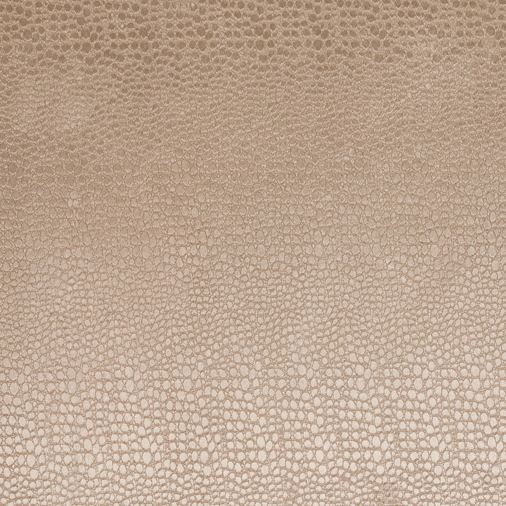 F0469 13 Pulse Sand by Clarke and Clarke Fabric CLARKE & CLARKE POLYESTER - 100% China HEAVY Horizontal: 2.56 and Vertical: 8.66 56  - Fabric Carolina -