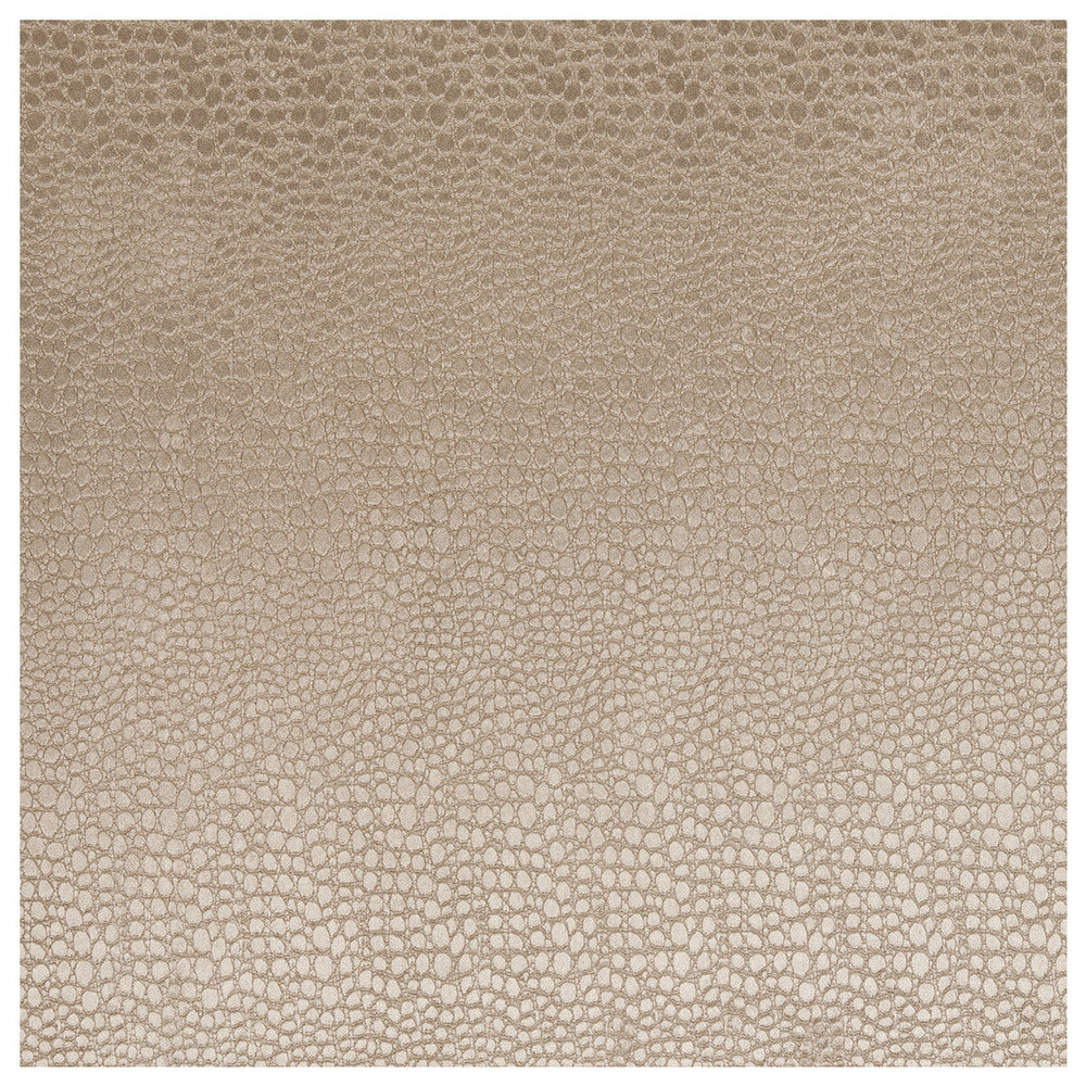 Pulse Sand by Clarke And Clarke Fabric CLARKE & CLARKE TEMPO VELVETS POLYESTER - 100% China HEAVY Horizontal: 2.56 and Vertical: 8.66 56 - Fabric Carolina -
