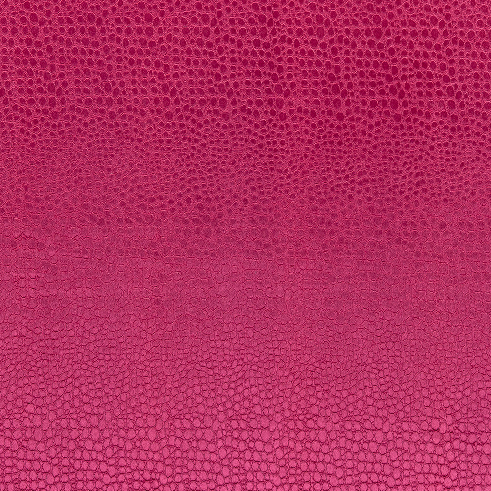 F0469 14 Pulse Sorbet by Clarke and Clarke Fabric CLARKE & CLARKE POLYESTER - 100% China HEAVY Horizontal: 2.56 and Vertical: 8.66 56  - Fabric Carolina -
