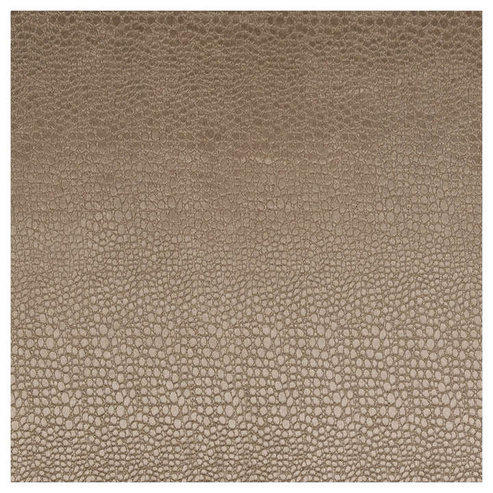 Pulse Taupe by Clarke And Clarke Fabric CLARKE & CLARKE TEMPO VELVETS POLYESTER - 100% China HEAVY Horizontal: 2.56 and Vertical: 8.66 56 - Fabric Carolina -