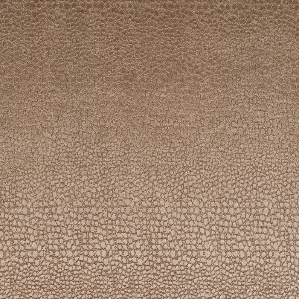F0469 15 Pulse Taupe by Clarke and Clarke Fabric CLARKE & CLARKE POLYESTER - 100% China HEAVY Horizontal: 2.56 and Vertical: 8.66 56  - Fabric Carolina -