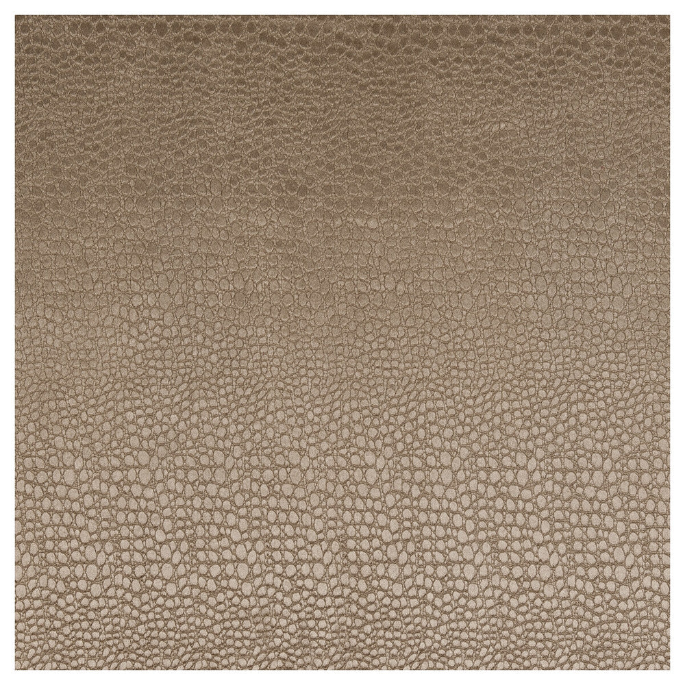 Pulse Taupe by Clarke And Clarke Fabric CLARKE & CLARKE TEMPO VELVETS POLYESTER - 100% China HEAVY Horizontal: 2.56 and Vertical: 8.66 56 - Fabric Carolina -