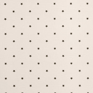 Etoile Jet by Clarke And Clarke Fabric