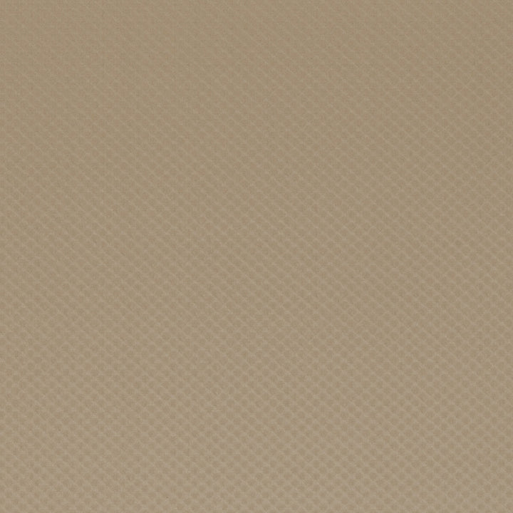 Zirah Camel by Clarke And Clarke Fabric CLARKE & CLARKE GLOBAL LUXE POLYESTER - 61%;COTTON - 39% India - Horizontal: 0.39 and Vertical: 0.39 54 - Fabric Carolina -