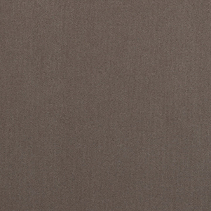 Tide Taupe by Clarke And Clarke Fabric CLARKE & CLARKE NATURAL ELEMENTS POLYESTER - 95%;COTTON - 5% China HEAVY Horizontal: 0 and Vertical: 0 56 - Fabric Carolina -