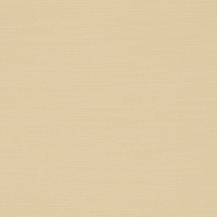 Nantucket Butter by Clarke And Clarke Designer Fabric CLARKE & CLARKE NANTUCKET COTTON - 100% India HEAVY Horizontal: 0 and Vertical: 0 55 - Swanky Fabrics -