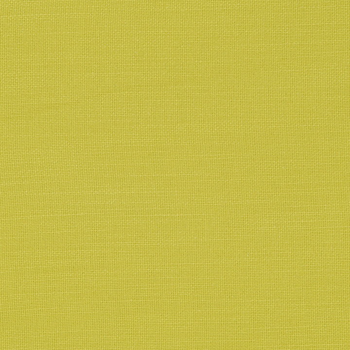 Nantucket Celery by Clarke And Clarke Fabric CLARKE & CLARKE NANTUCKET COTTON - 100% India HEAVY Horizontal: 0 and Vertical: 0 55 - Fabric Carolina -