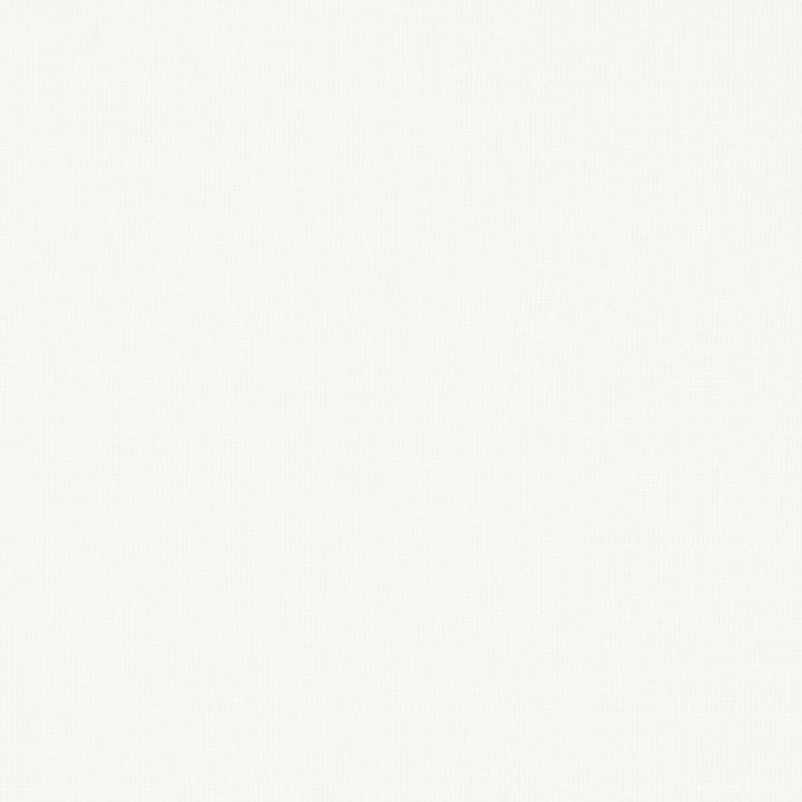 Nantucket Chalk by Clarke And Clarke Fabric CLARKE & CLARKE NANTUCKET COTTON - 100% India HEAVY Horizontal: 0 and Vertical: 0 55 - Fabric Carolina -
