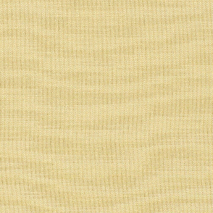 Nantucket Corn by Clarke And Clarke Fabric CLARKE & CLARKE NANTUCKET COTTON - 100% India HEAVY Horizontal: 0 and Vertical: 0 55 - Fabric Carolina -