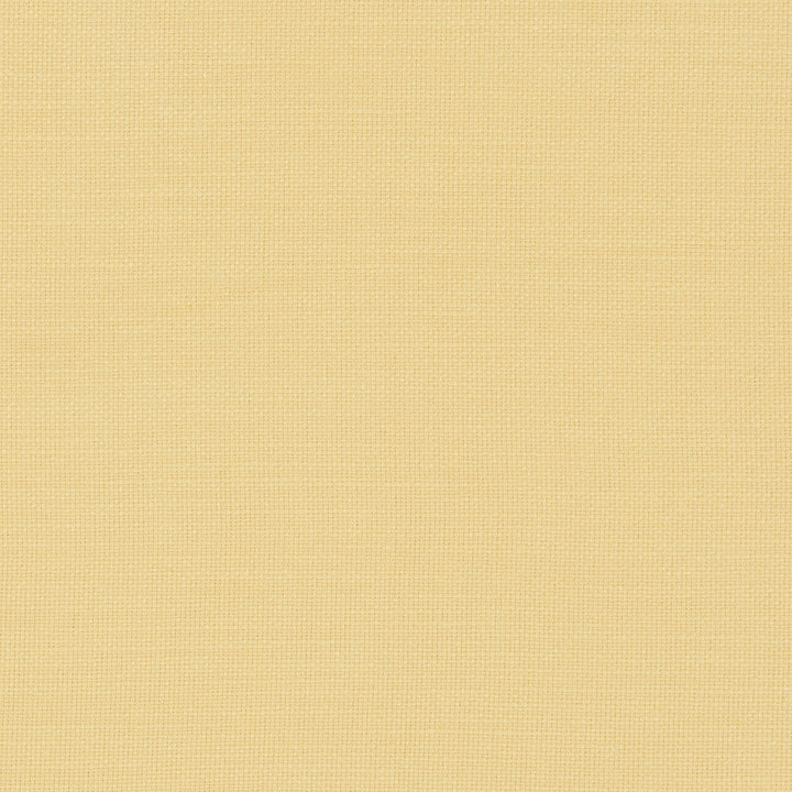 F0594 12 Nantucket Corn by Clarke and Clarke Fabric CLARKE & CLARKE COTTON - 100% India HEAVY Horizontal: 0 and Vertical: 0 55  - Fabric Carolina -