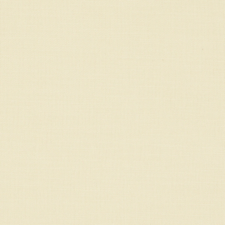 Nantucket Cream by Clarke And Clarke Designer Fabric CLARKE & CLARKE NANTUCKET COTTON - 100% India HEAVY Horizontal: 0 and Vertical: 0 55 - Swanky Fabrics -