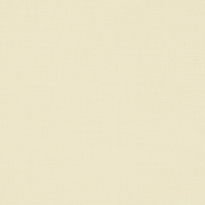Nantucket Cream by Clarke And Clarke Fabric CLARKE & CLARKE NANTUCKET COTTON - 100% India HEAVY Horizontal: 0 and Vertical: 0 55 - Fabric Carolina -