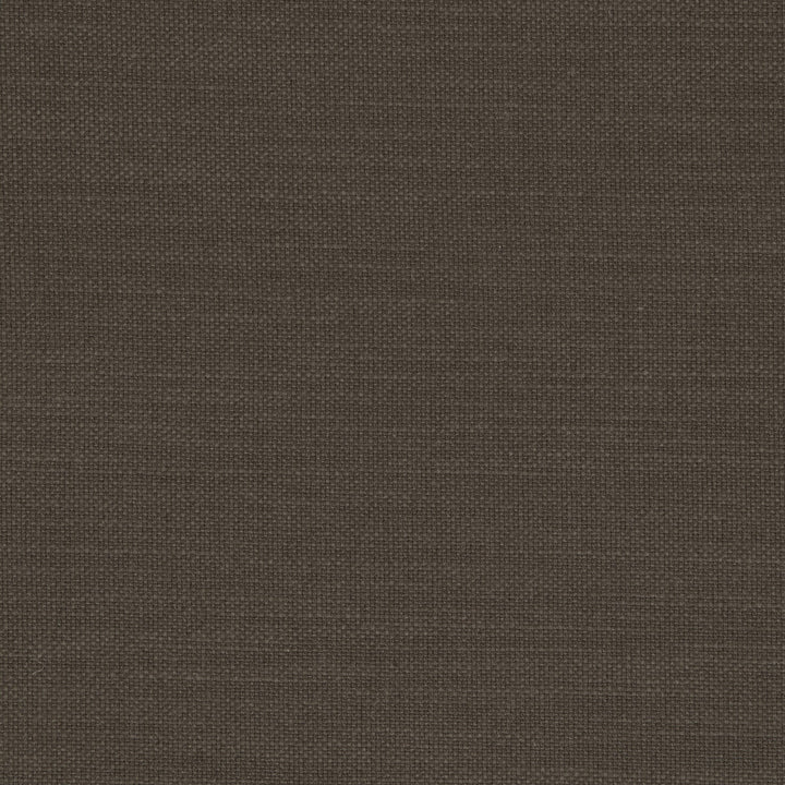 Nantucket Espresso by Clarke And Clarke Fabric CLARKE & CLARKE NANTUCKET COTTON - 100% India HEAVY Horizontal: 0 and Vertical: 0 55 - Fabric Carolina -