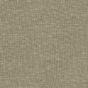 Nantucket Eucalyptus by Clarke And Clarke Fabric
