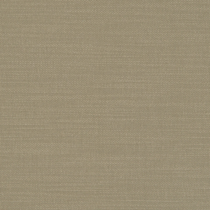 F0594 19 Nantucket Eucalyptus by Clarke and Clarke Fabric CLARKE & CLARKE COTTON - 100% India HEAVY Horizontal: 0 and Vertical: 0 55  - Fabric Carolina -