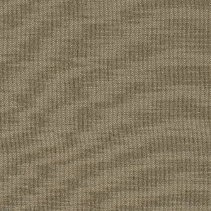 F0594 20 Nantucket Flax by Clarke and Clarke Fabric CLARKE & CLARKE COTTON - 100% India HEAVY Horizontal: 0 and Vertical: 0 55  - Fabric Carolina -