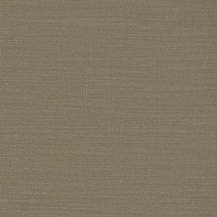 Nantucket Flax by Clarke And Clarke Fabric CLARKE & CLARKE NANTUCKET COTTON - 100% India HEAVY Horizontal: 0 and Vertical: 0 55 - Fabric Carolina -