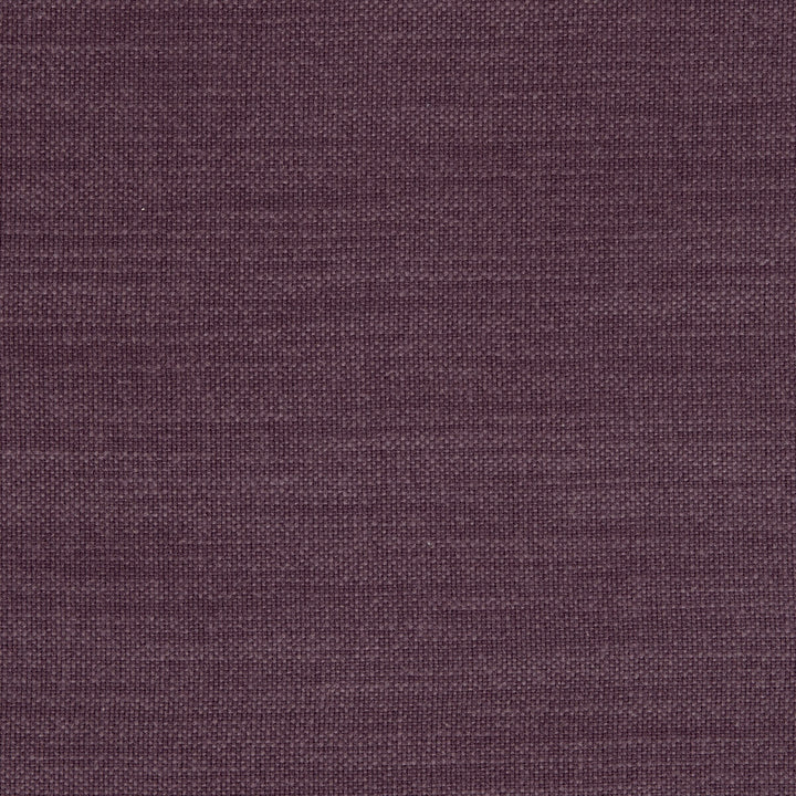 Nantucket Grape by Clarke And Clarke Fabric CLARKE & CLARKE NANTUCKET COTTON - 100% India HEAVY Horizontal: 0 and Vertical: 0 55 - Fabric Carolina -