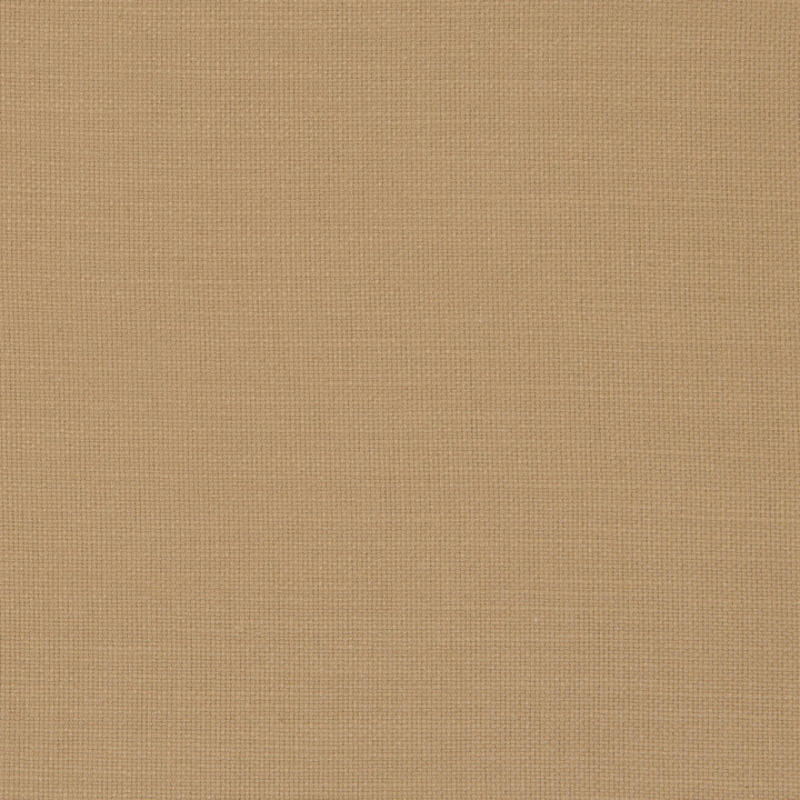 Nantucket Honey by Clarke And Clarke Fabric CLARKE & CLARKE NANTUCKET COTTON - 100% India HEAVY Horizontal: 0 and Vertical: 0 55 - Fabric Carolina -