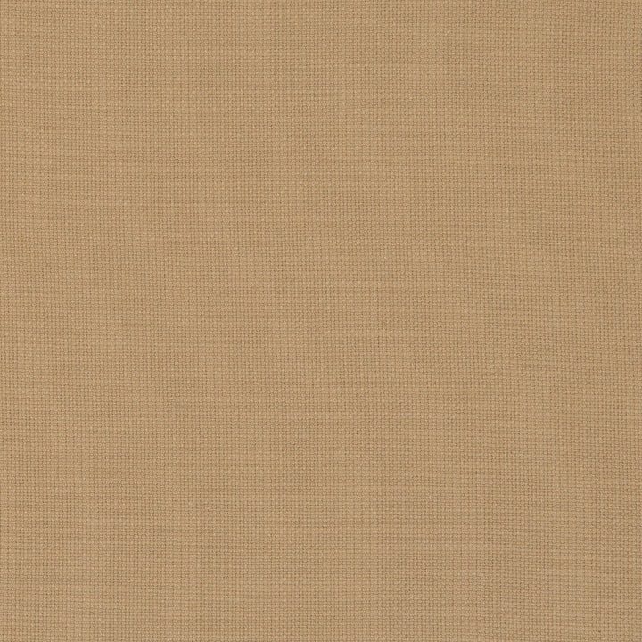 Nantucket Honey by Clarke And Clarke Designer Fabric CLARKE & CLARKE NANTUCKET COTTON - 100% India HEAVY Horizontal: 0 and Vertical: 0 55 - Swanky Fabrics -