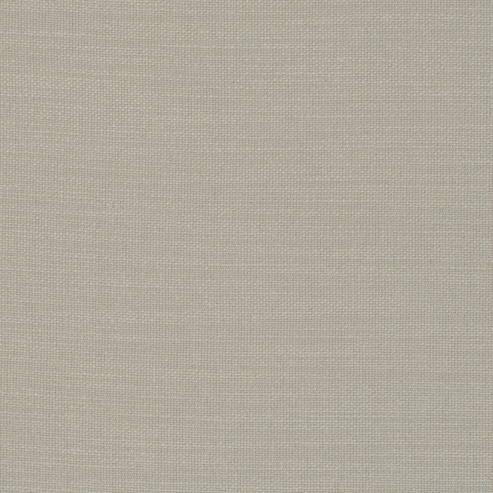Nantucket Lichen by Clarke And Clarke Designer Fabric CLARKE & CLARKE NANTUCKET COTTON - 100% India HEAVY Horizontal: 0 and Vertical: 0 55 - Swanky Fabrics -