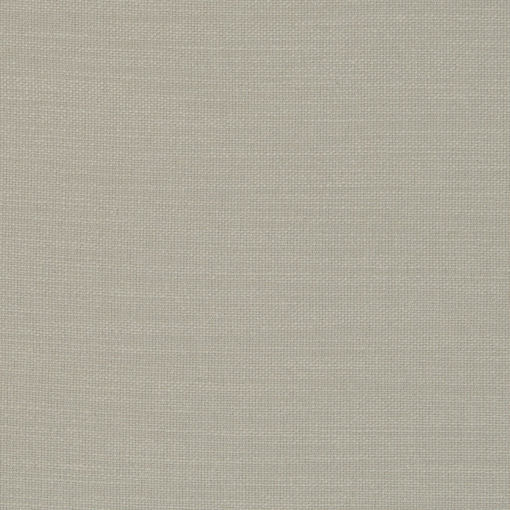 Nantucket Lichen by Clarke And Clarke Fabric CLARKE & CLARKE NANTUCKET COTTON - 100% India HEAVY Horizontal: 0 and Vertical: 0 55 - Fabric Carolina -