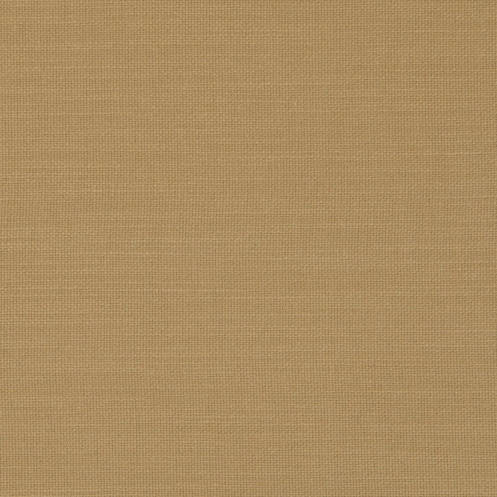 Nantucket Malt by Clarke And Clarke Fabric CLARKE & CLARKE NANTUCKET COTTON - 100% India HEAVY Horizontal: 0 and Vertical: 0 55 - Fabric Carolina -