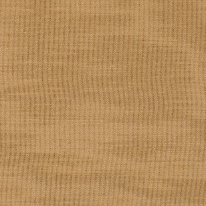 F0594 33 Nantucket Malt by Clarke and Clarke Fabric CLARKE & CLARKE COTTON - 100% India HEAVY Horizontal: 0 and Vertical: 0 55  - Fabric Carolina -