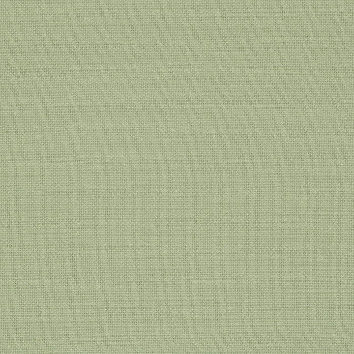 F0594 34 Nantucket Meadow by Clarke and Clarke Fabric CLARKE & CLARKE COTTON - 100% India HEAVY Horizontal: 0 and Vertical: 0 55  - Fabric Carolina -
