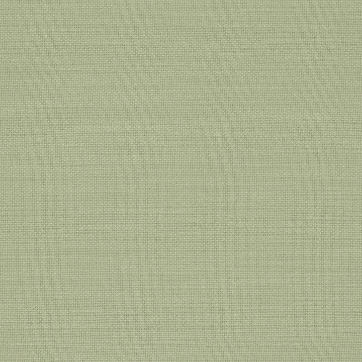 Nantucket Meadow by Clarke And Clarke Fabric CLARKE & CLARKE NANTUCKET COTTON - 100% India HEAVY Horizontal: 0 and Vertical: 0 55 - Fabric Carolina -