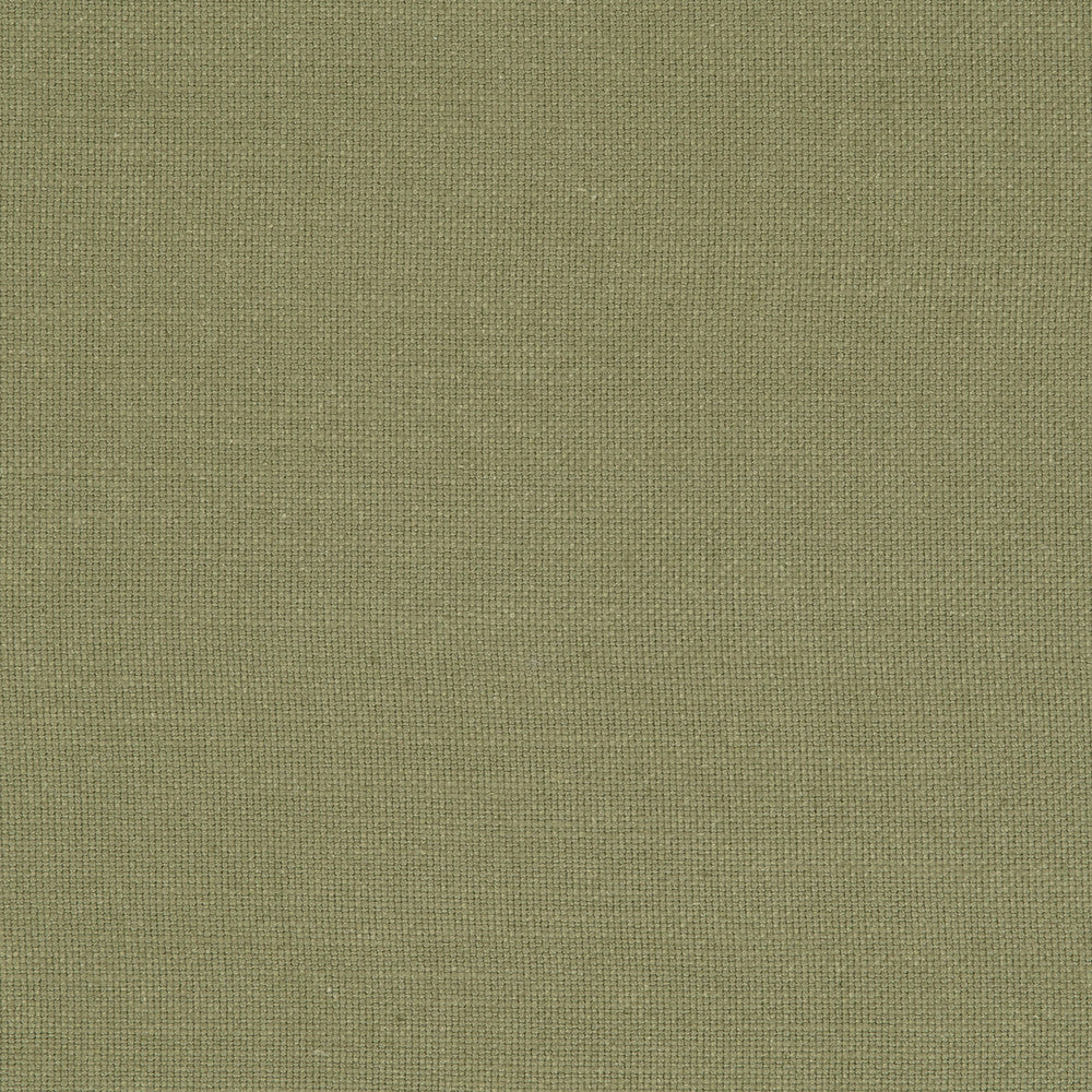 F0594 35 Nantucket Olive by Clarke and Clarke Fabric CLARKE & CLARKE COTTON - 100% India HEAVY Horizontal: 0 and Vertical: 0 55  - Fabric Carolina -
